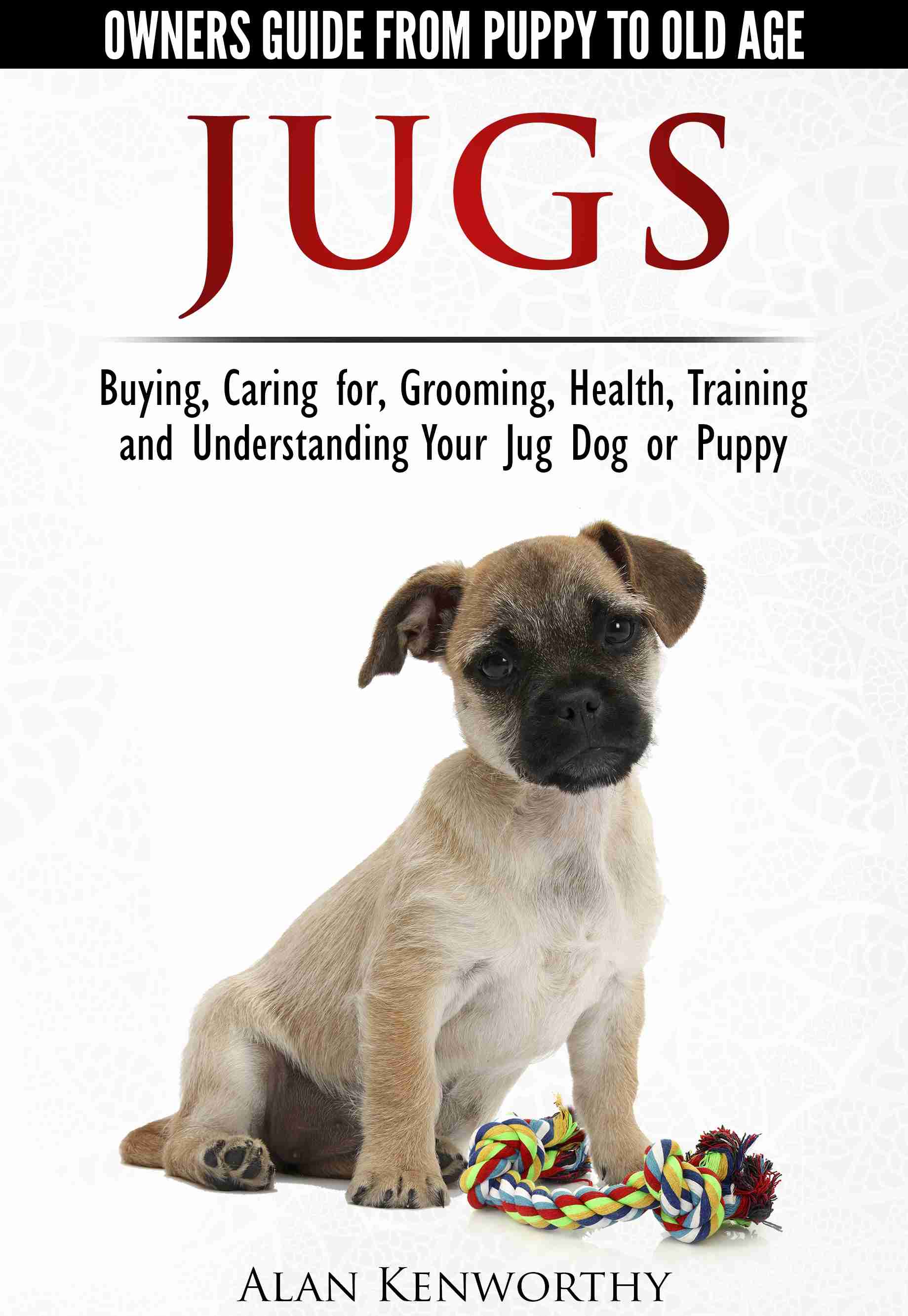 how much to buy a pug want to buy a jug where to buy how much they cost how much to buy a pug want to buy a jug where to buy how much they cost